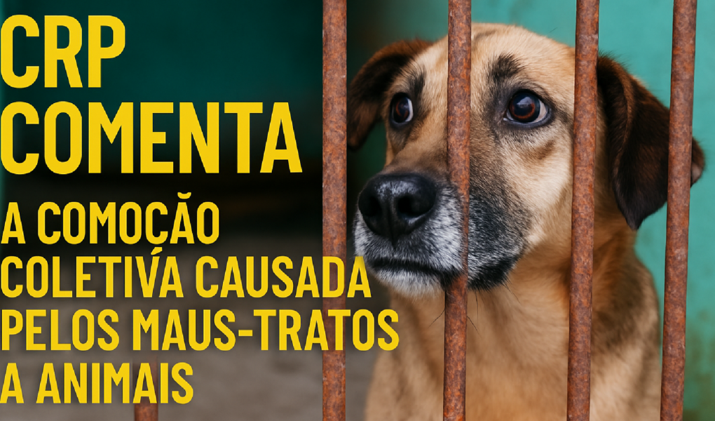 Imagem ilustrativa sobre CRP Comenta: a comoção coletiva causada pelos maus-tratos a animais